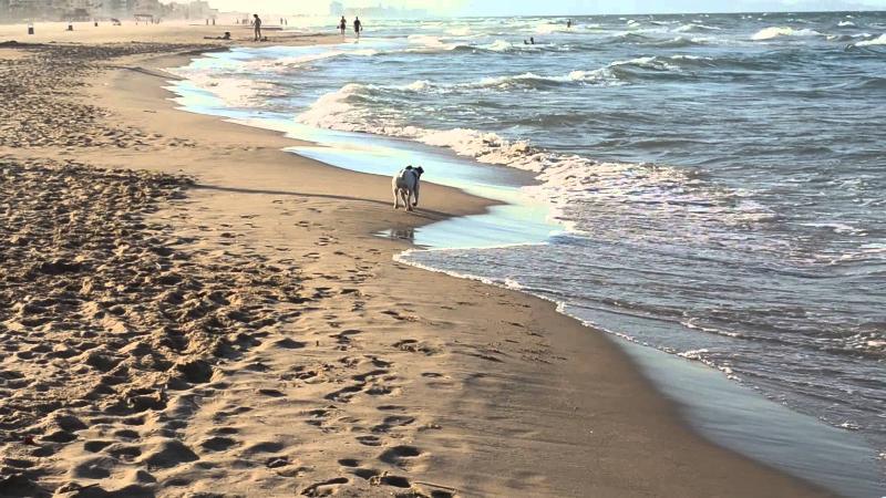 Apartamentos Gandia Playa De L'Ahuir 3000 Zewnętrze zdjęcie